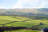Panoroamic view of the lush green rolling hills in the English countryside of the Yorkshire Dales near Wensleydale